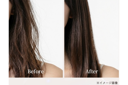 KINUJO Silky treatment brush(シルキートリートメントブラシ)