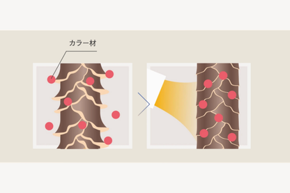 KINUJOへアドライヤー