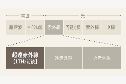 KINUJOへアドライヤー