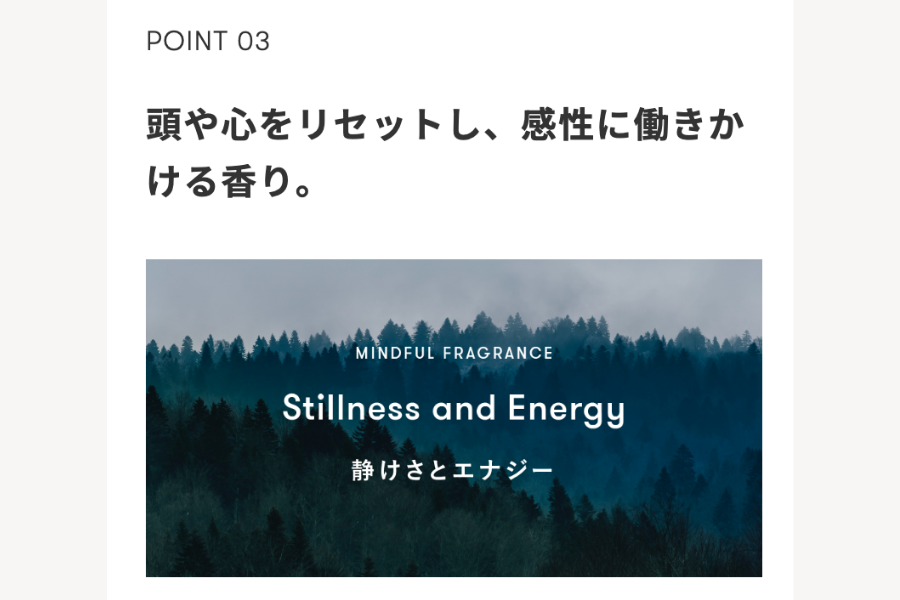 シンピュルテ トゥーグッド マルチベネフィットオイル スティルネル＆エナジー 50ml