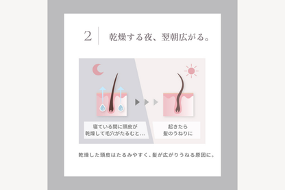 KINUJO Silk Rich Pillowcase キヌージョシルクリッチピローケース（シャンパンゴールド）